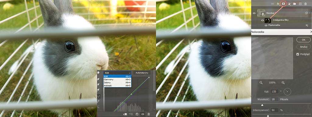 poprawienie kolorów na zdjeciu w photoshopie - królik
